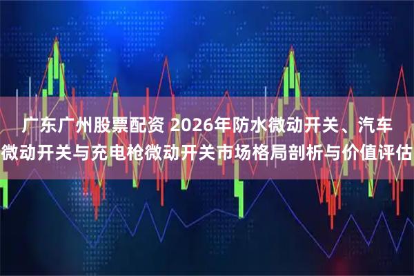 广东广州股票配资 2026年防水微动开关、汽车微动开关与充电枪微动开关市场格局剖析与价值评估